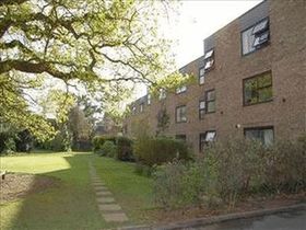1 Bedroom Flat