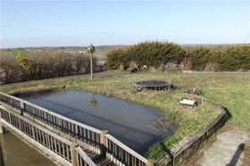 5 Bedroom Detached