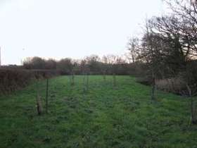 Holsworthy, EX22 6NZ