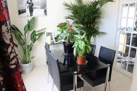 3 Bedroom Semi-Detac...