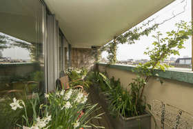 2 Bedroom Flat