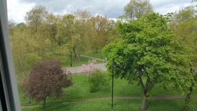 1 Bedroom Flat Share