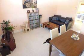 2 Bedroom Flat