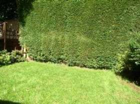 2 Bedroom Property