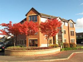 1 Bedroom Flat