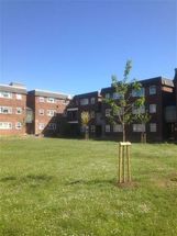 2 Bedroom Property