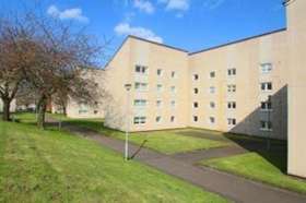 3 Bedroom Flat