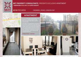 1 Bedroom Apartment