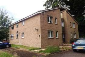 1 Bedroom Flat