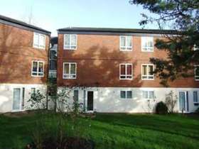 1 Bedroom Apartment