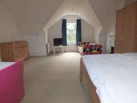1 Bedroom Detached
