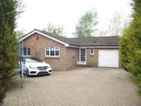 3 Bedroom Bungalow