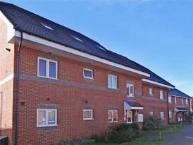 1 Bedroom Apartment