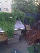 1 Bedroom Apartment