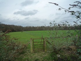 3 Bedroom Cottage