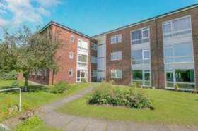 1 Bedroom Flat