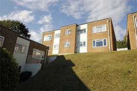 1 Bedroom Apartment