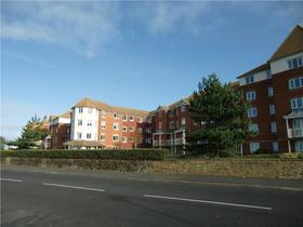 1 Bedroom Apartment